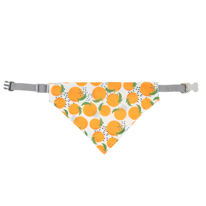 Dog bandana and collar set(Orange)