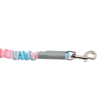 Ombré Color Shock-Absorbing Dog Leash with Padded Handle(Pink-Blue Ombré)