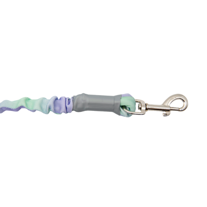 Ombré Color Shock-Absorbing Dog Leash with Padded Handle(Violet-Green Ombré)