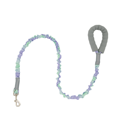 Ombré Color Shock-Absorbing Dog Leash with Padded Handle(Violet-Green Ombré)