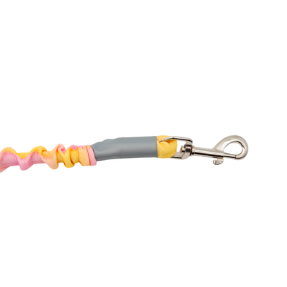 Ombré Color Shock-Absorbing Dog Leash with Padded Handle(Pink-Orange Ombré)