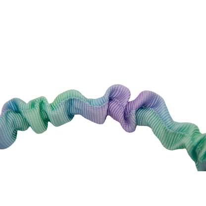 Dual Handles Bungee Dog Leash, Ombré Color (Violet-Green Ombré)