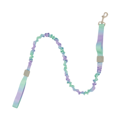 Dual Handles Bungee Dog Leash, Ombré Color (Violet-Green Ombré)