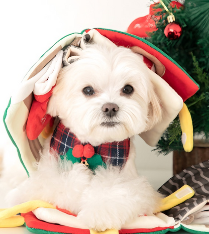 Santa’s Snuffle Storybook for Dogs