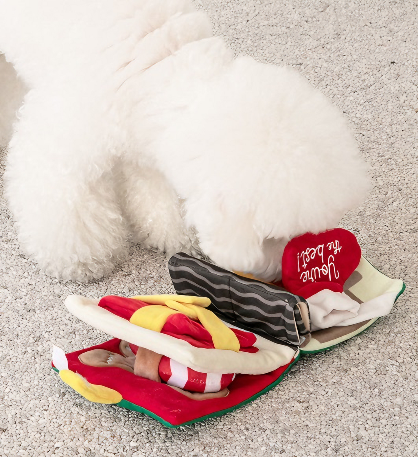Santa’s Snuffle Storybook for Dogs