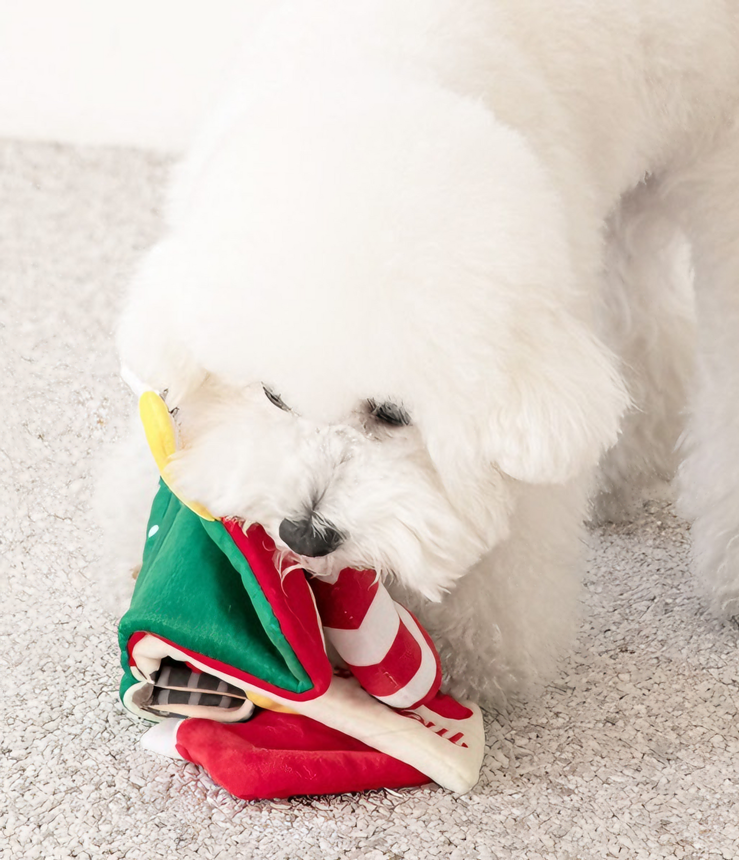 Santa’s Snuffle Storybook for Dogs