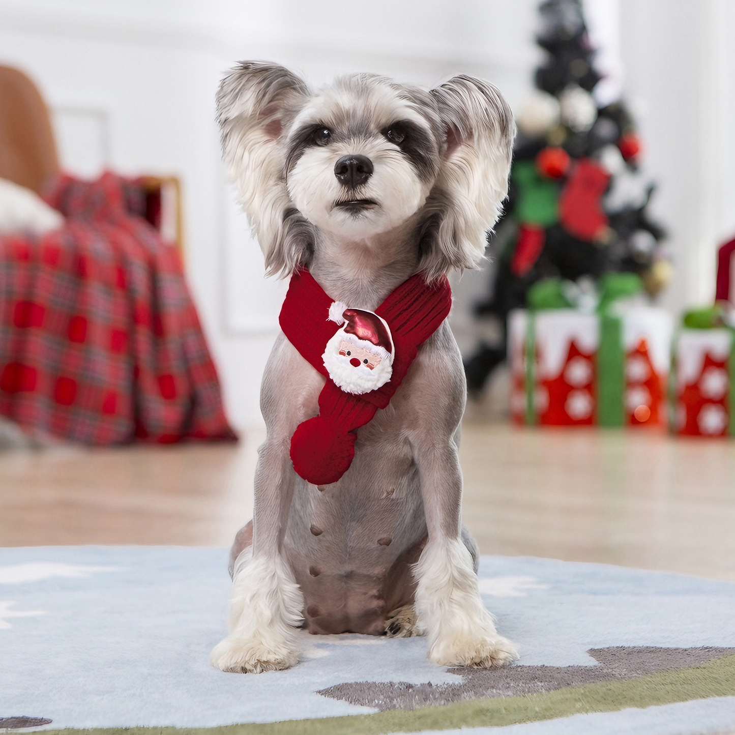 Cozy Christmas Scarf for Pets (Santa)