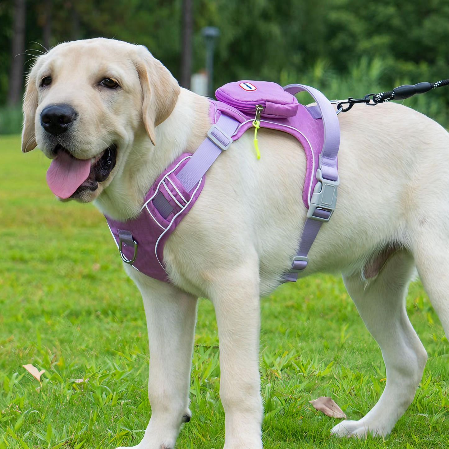 Waterproof & Anti-Pull Adventure Harness with Mini Backpack(Berry Purple)