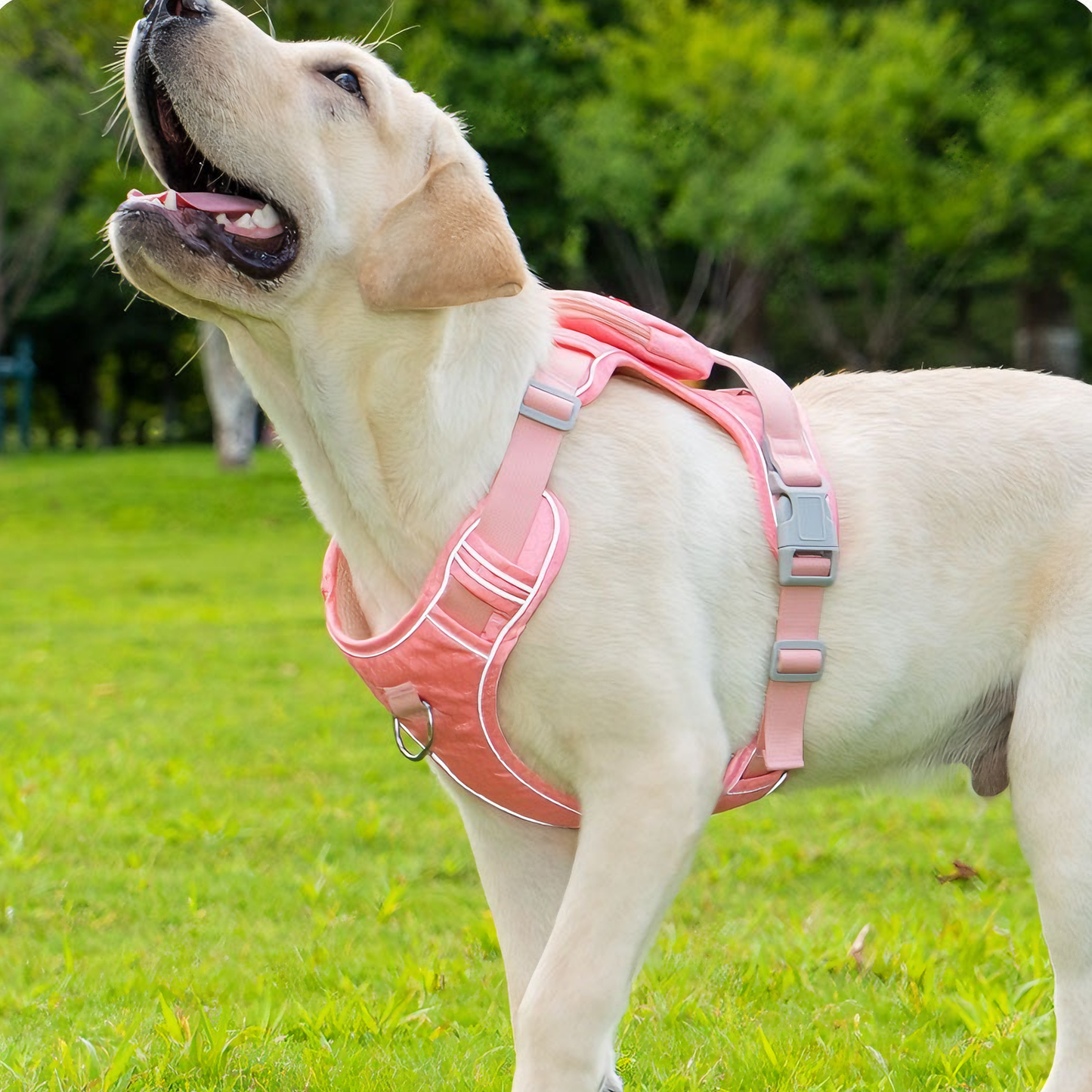 Waterproof & Anti-Pull Adventure Harness with Mini Backpack(Peach Pink)