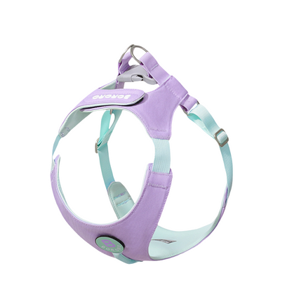Dopamine Lightweight Dog Harness & Leash Set For Small & Medium dogs (Lavender)