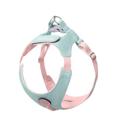 Dopamine Lightweight Dog Harness & Leash Set For Small & Medium dogs (Mint Green)