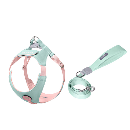 Dopamine Lightweight Dog Harness & Leash Set For Small & Medium dogs (Mint Green)