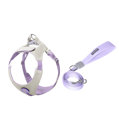 Dopamine Lightweight Dog Harness & Leash Set For Small & Medium dogs (Khaki)