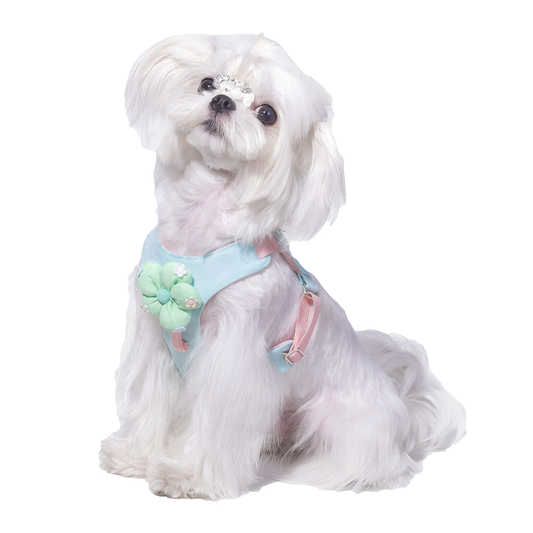 Dopamine Lightweight Dog Harness & Leash Set For Small & Medium dogs (Mint Green)