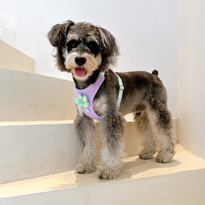 Dopamine Lightweight Dog Harness & Leash Set For Small & Medium dogs (Lavender)