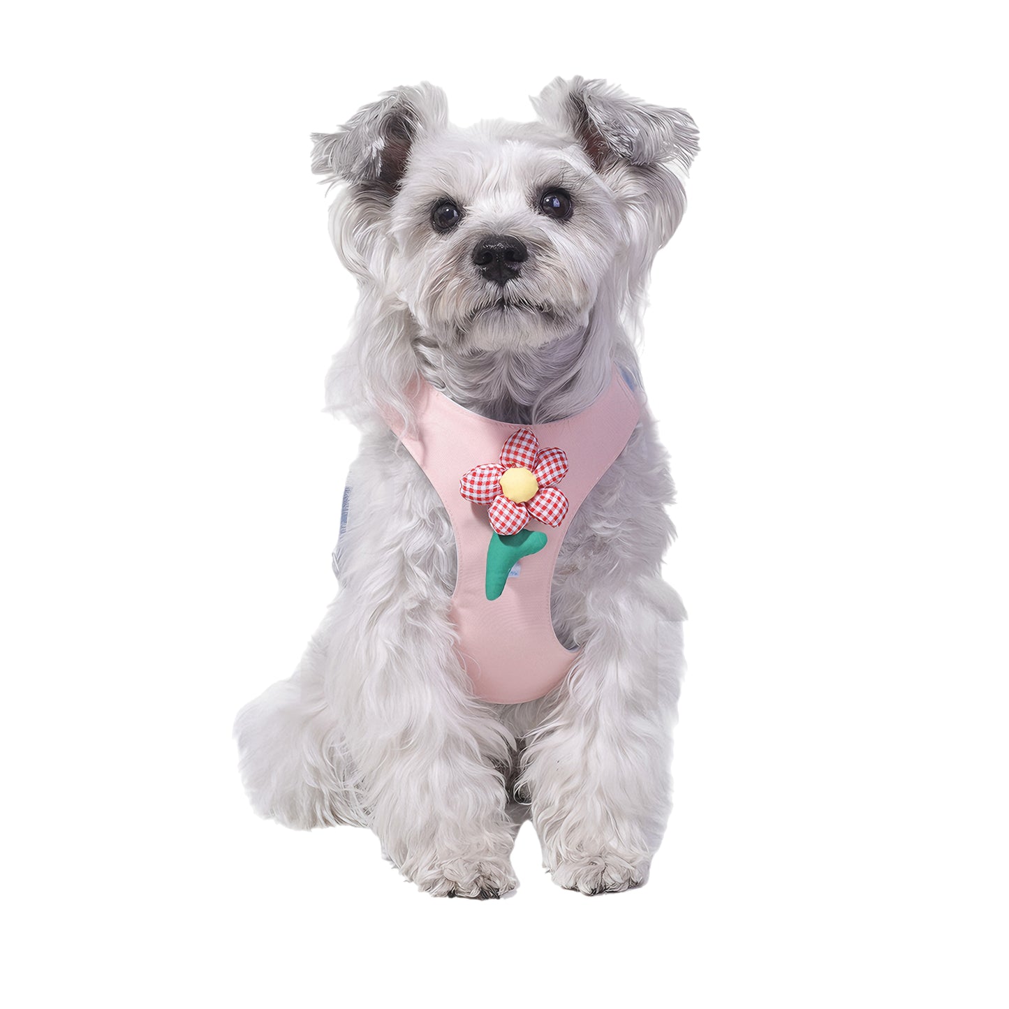 Dopamine Lightweight Dog Harness & Leash Set For Small & Medium dogs (Blush Pink)