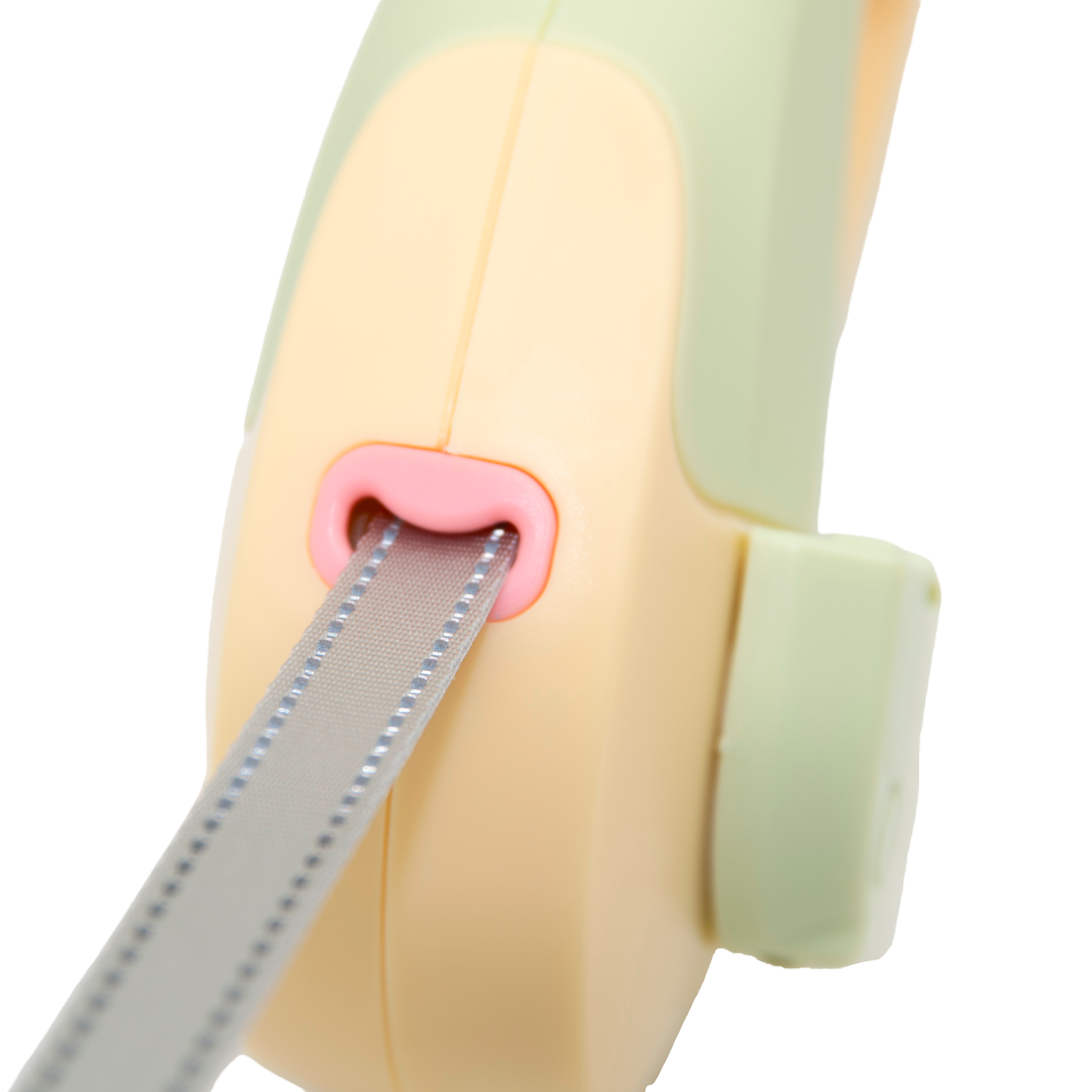 Retractable Dog Leash with LED Light For Small & Medium dogs(Mango Green)