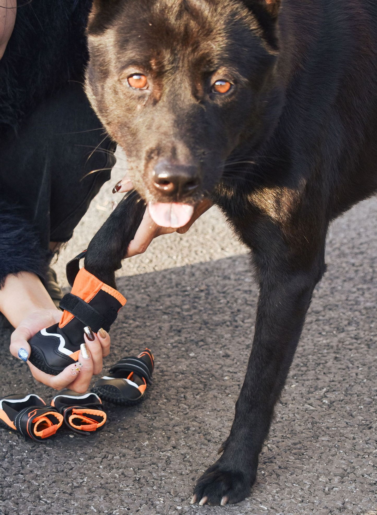 Winter Waterproof Anti-Slip Dog Boots – Warm, Durable & Escape-Proof(Black-Orange)