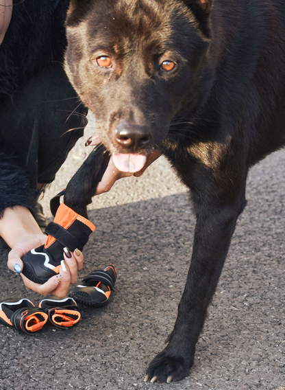 Winter Waterproof Anti-Slip Dog Boots – Warm, Durable & Escape-Proof(Black-Orange)