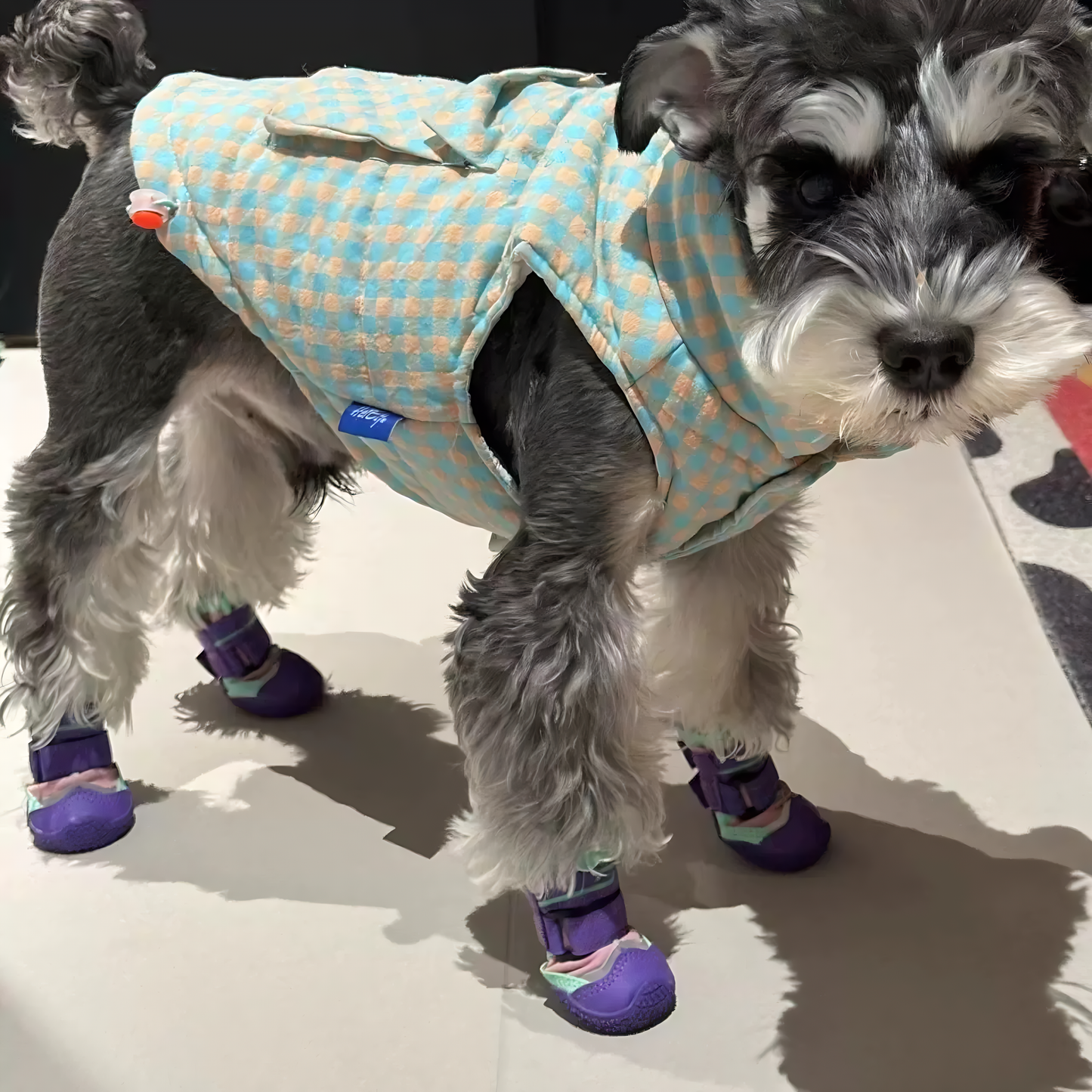 Winter Waterproof Anti-Slip Dog Boots – Warm, Durable & Escape-Proof(Pink-Purple)