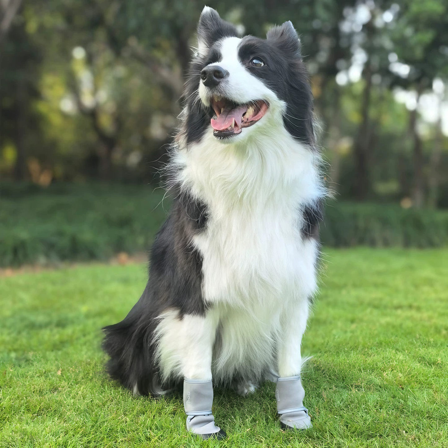 All-Weather Protective Dog Shoes — Waterproof, Slip-Resistant & Reflective(Ash Gray)