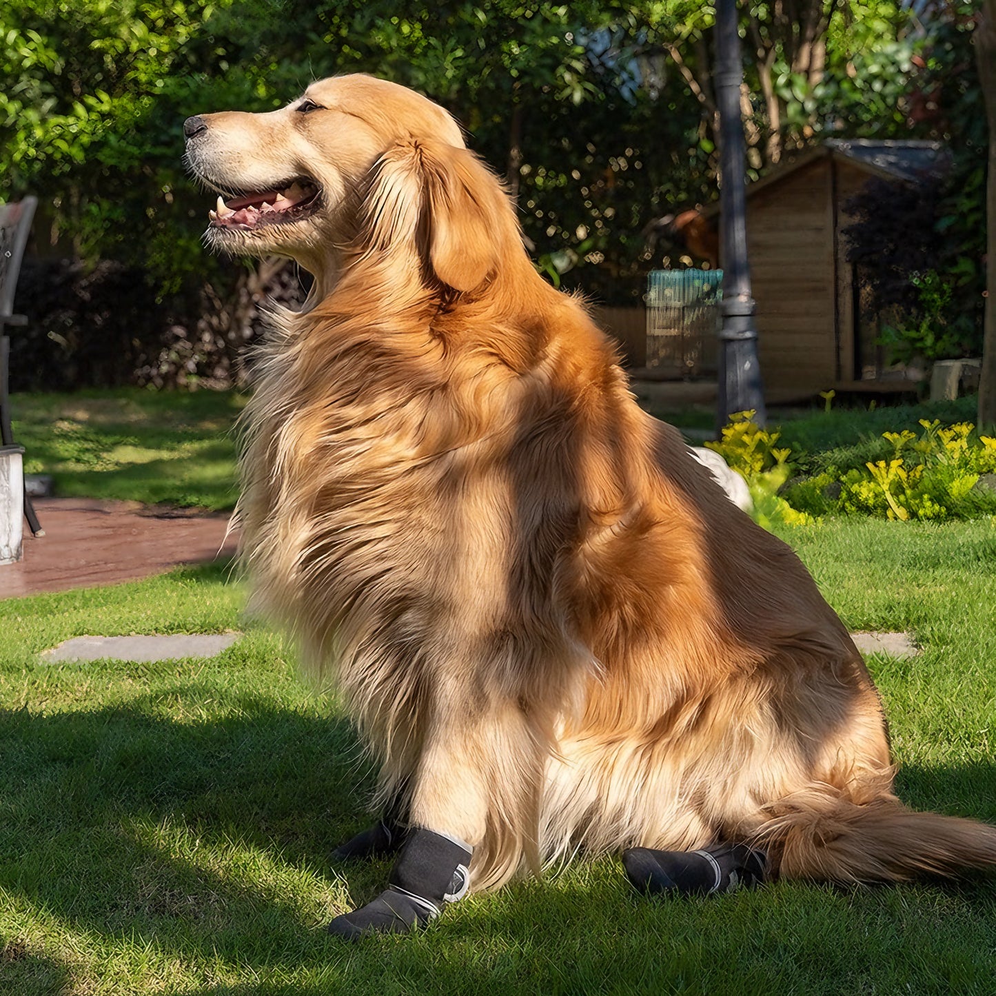 All-Weather Protective Dog Shoes — Waterproof, Slip-Resistant & Reflective(Military Green、Ash Grey)