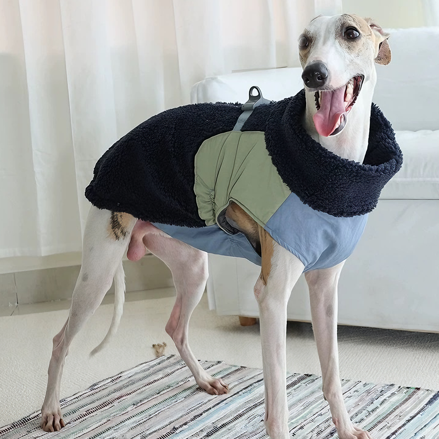 Winter Warmth & Windproof Dog Coat — Plush, Harness-Integrated & Easy Wear (Blue)