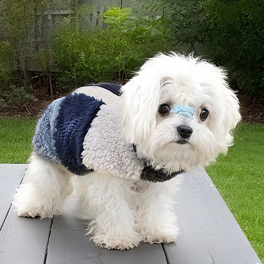 Windproof Plush Dog Coat - Vintage Color-Block Style (Blue)