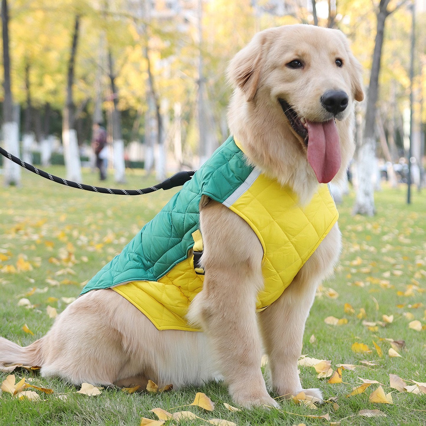 Quilted Warmth & Reflective Dog Coat — Lightweight, Secure & Adjustable (Yellow-Green)