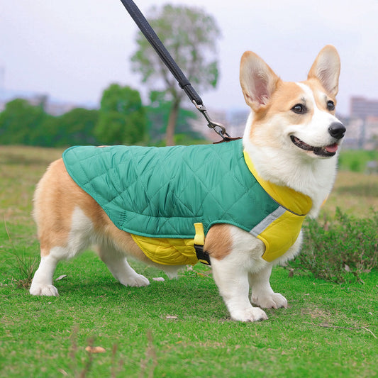 Quilted Warmth & Reflective Dog Coat — Lightweight, Secure & Adjustable (Yellow-Green)