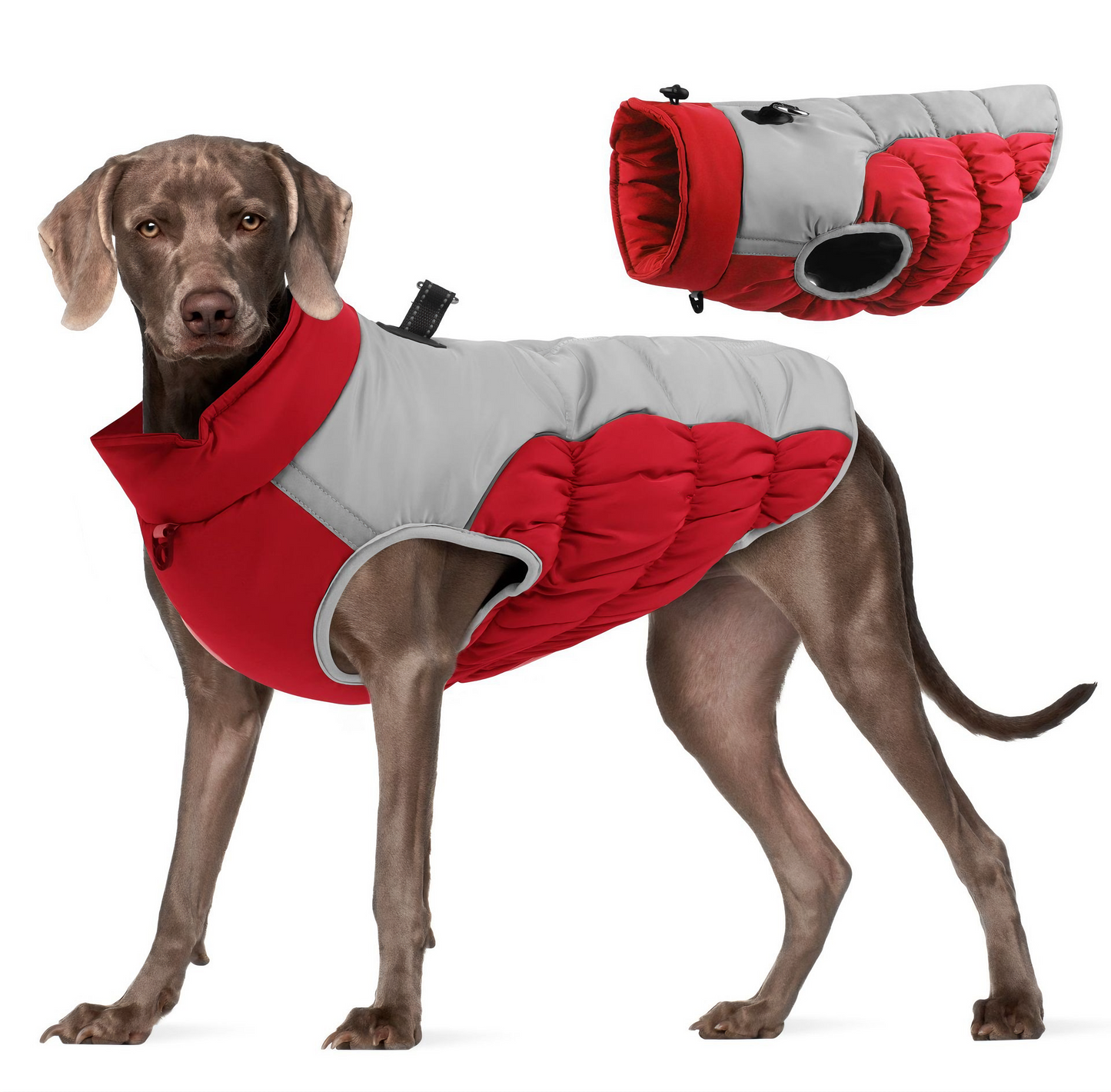All-Weather Protective Dog Coat — Waterproof, Windproof & Reflective (Red)