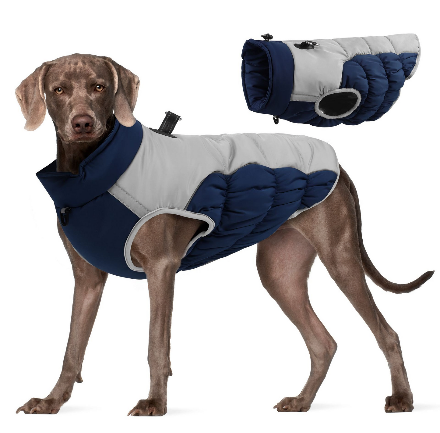All-Weather Protective Dog Coat — Waterproof, Windproof & Reflective (Navy Blue)
