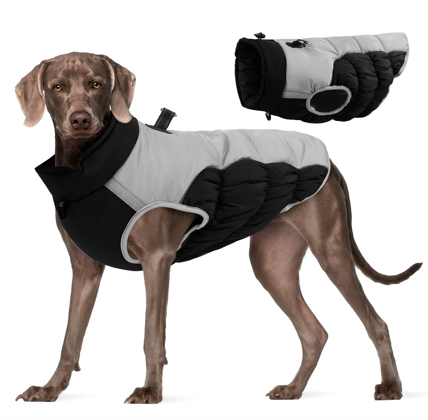 All-Weather Protective Dog Coat — Waterproof, Windproof & Reflective (Black)