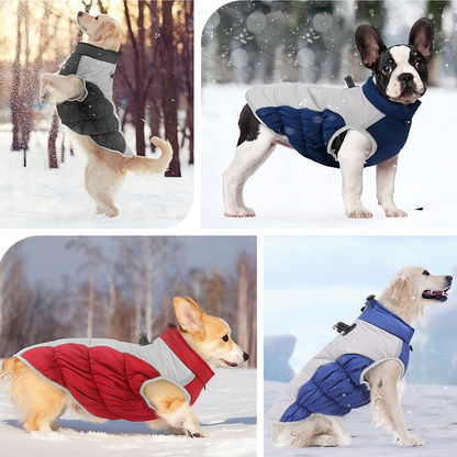 All-Weather Protective Dog Coat — Waterproof, Windproof & Reflective (Navy Blue)