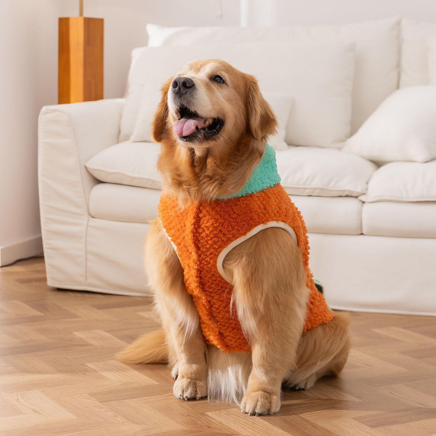 Autumn-Winter Plush Sweater for Large Dogs — Cozy, Stylish & Functional (Dello Hood Orange)