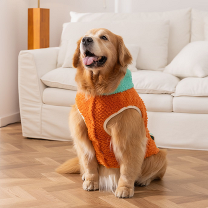 Autumn-Winter Plush Sweater for Large Dogs — Cozy, Stylish & Functional (Dello Hood Orange)