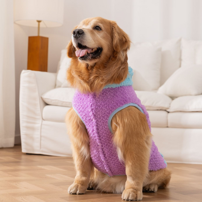 Autumn-Winter Plush Sweater for Large Dogs — Cozy, Stylish & Functional (Seren Hood Purple)