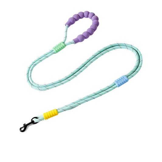 Heavy Duty Dog Leash with Comfort Padded Handle (Fresh Green)