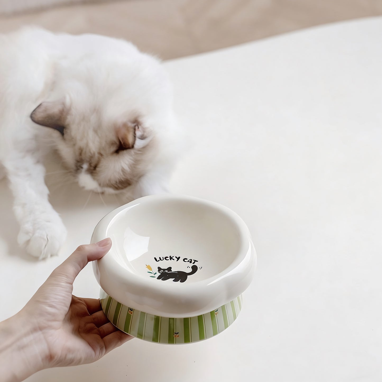 LuckyCat Petal Stripe Ceramic Pet Bowl
