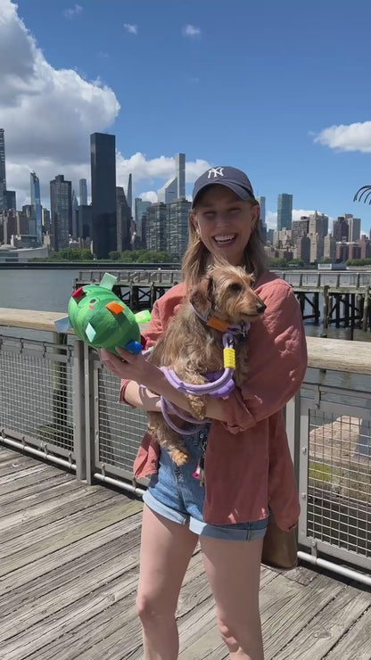 Watermelon Grab Tabs Ball Toy for Dogs