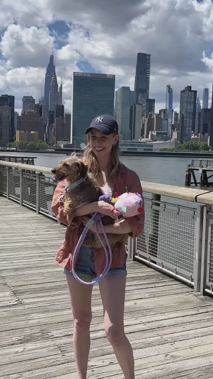 Berry Sweetie Grab Tabs Ball Toy for Dogs