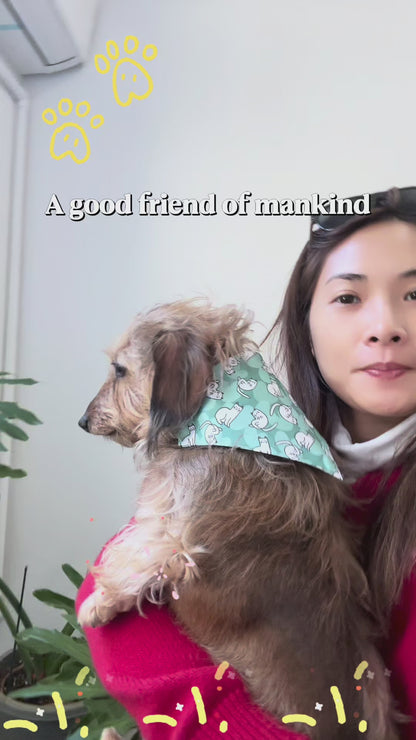 Dog bandana and collar set(Green Kitty)