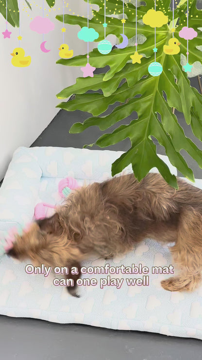 Cooling Mat Bolster Dog and Cat Bed