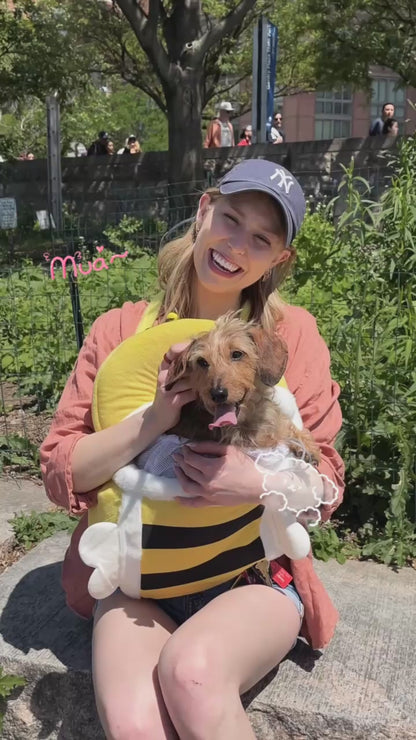 Travel Pet Carrier Bag; Breathable sling for small dogs and cats (5-10lbs)(Buzz Buddy Yellow Bee)