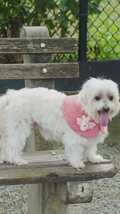 Plaid Dog Bandana(Watermelon Red)